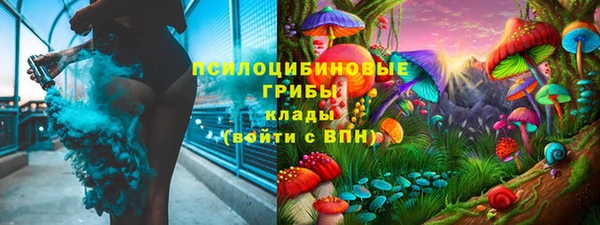 индика Навашино