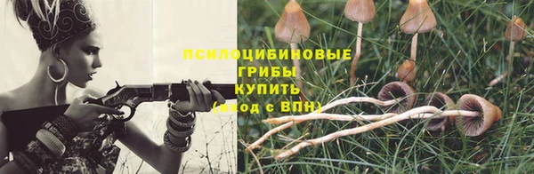 таблы Надым