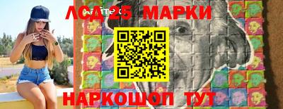 apvp Можга