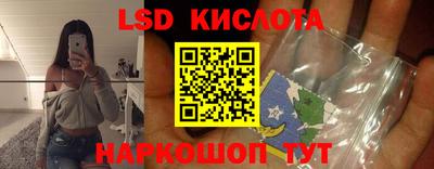 apvp Можга