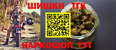 apvp Можга