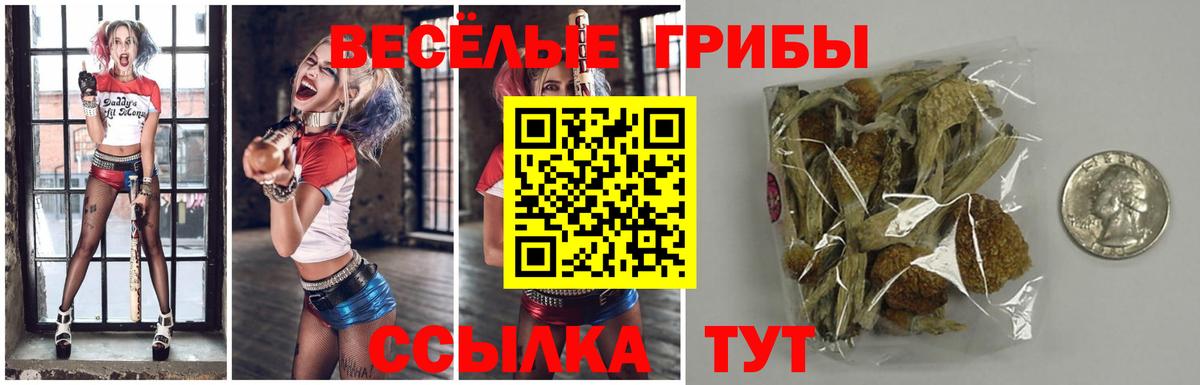 Галлюциногенные грибы Cubensis  Галлюциногенные грибы мухоморы  Вход с VPN  Нарьян-Мар 